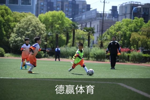 德赢体育公司简介